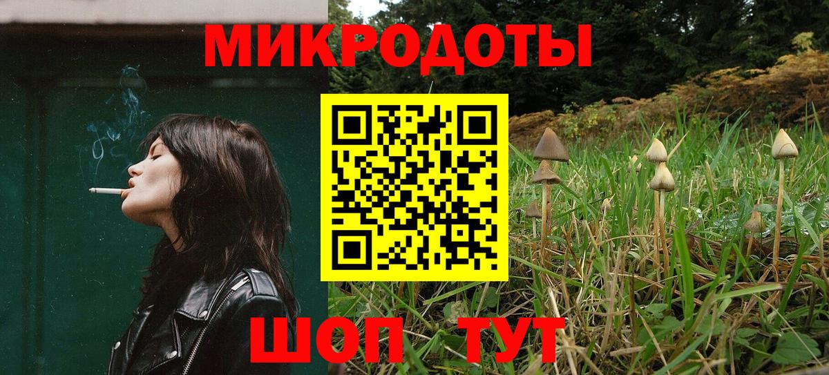 Галлюциногенные грибы Psilocybine cubensis Скопин