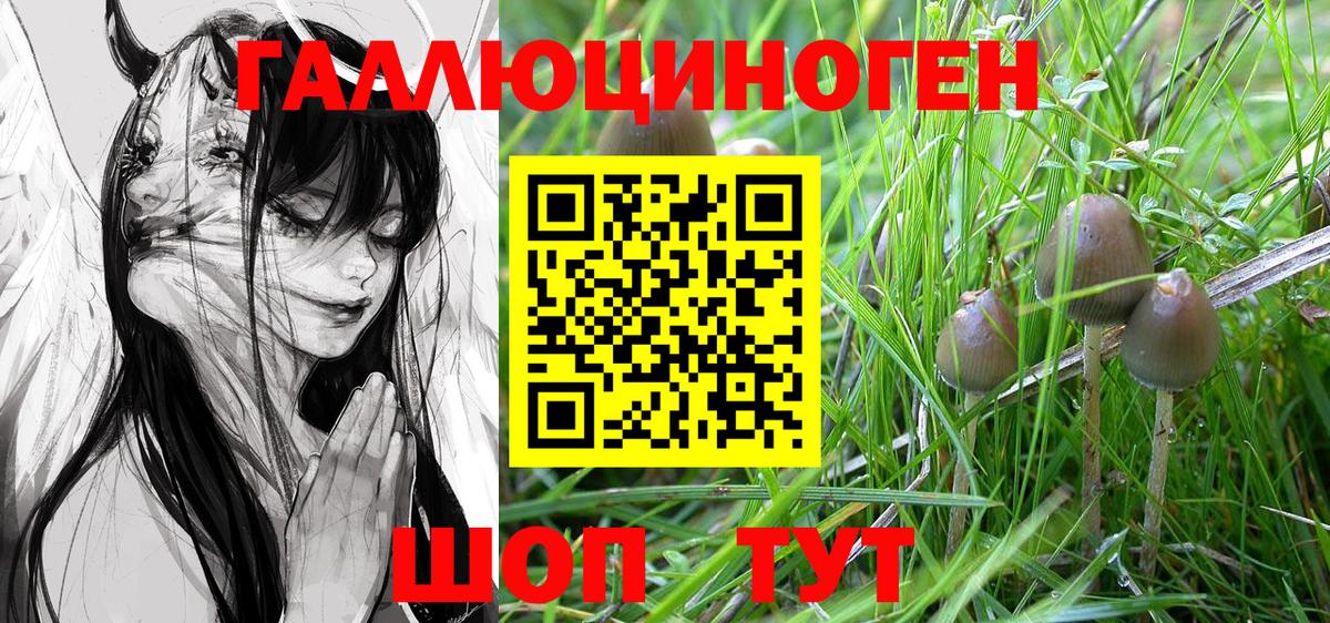 Скопин  Галлюциногенные грибы MAGIC MUSHROOMS  Вход с VPN  Псилоцибиновые грибы прущие грибы 
